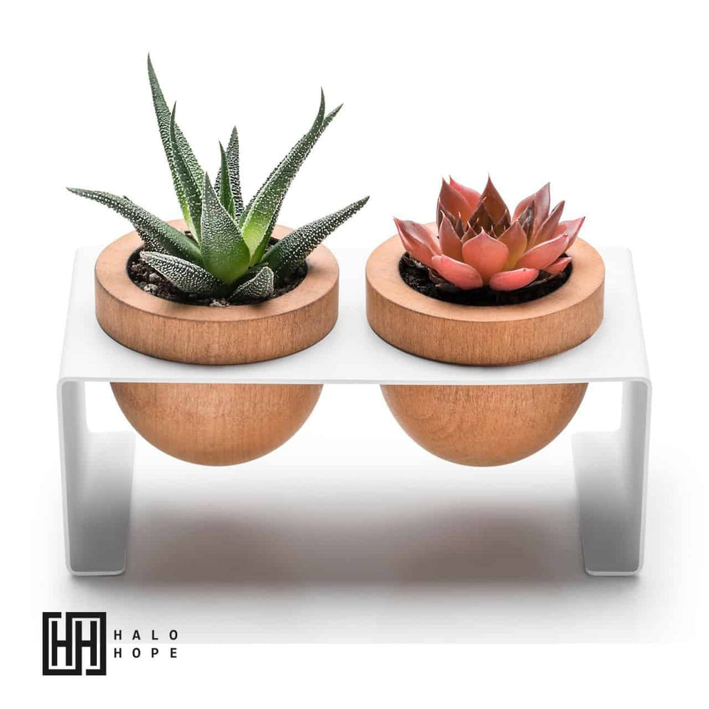 Dew White, Metal Stand Succulent Pot