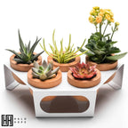 Dew 5-Piece Flowerpot, White, Oak