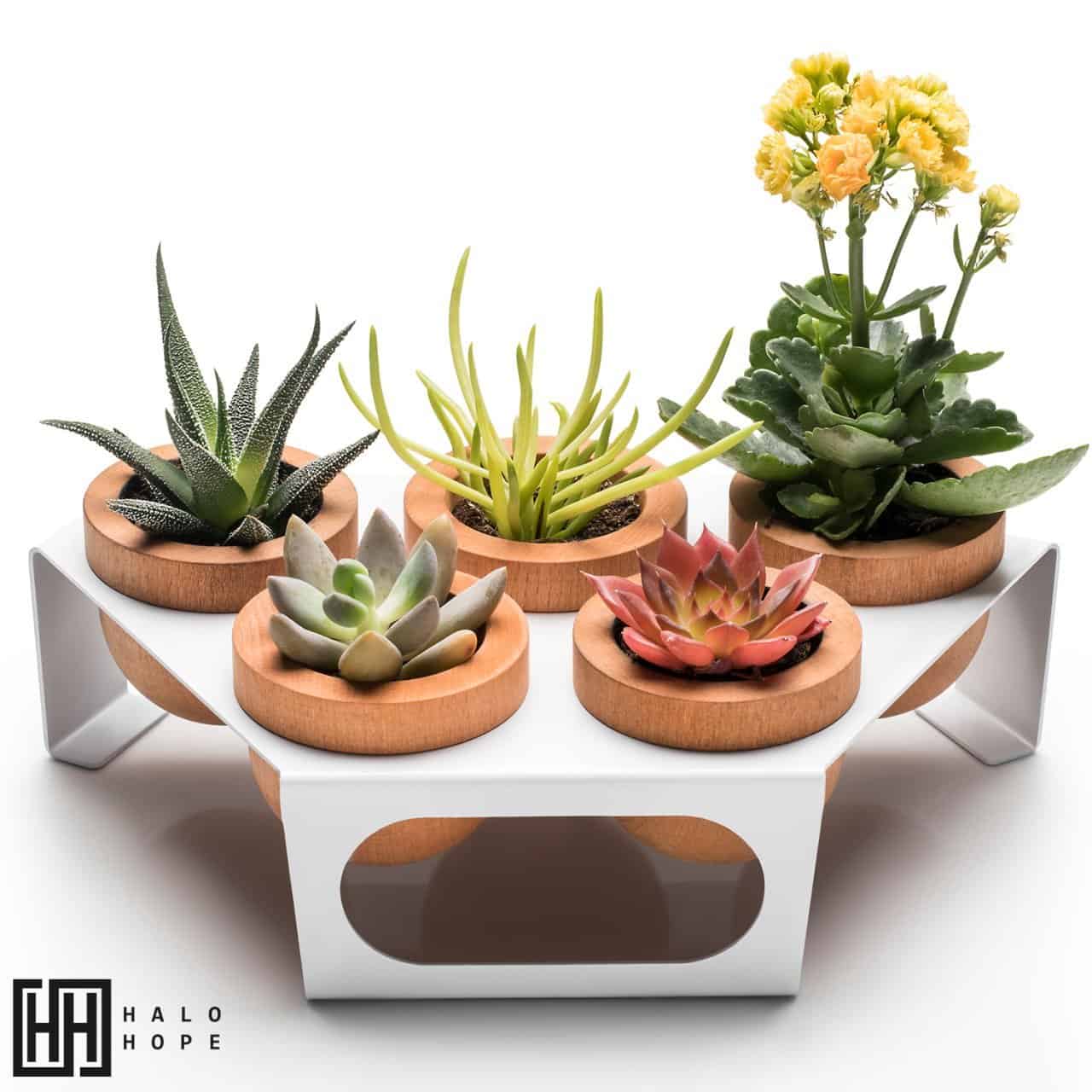 Dew 5-Piece Flowerpot, White, Oak