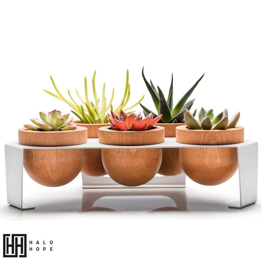 Dew 5-Piece Flowerpot, White, Oak