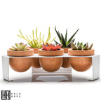 Dew 5-Piece Flowerpot, White, Oak