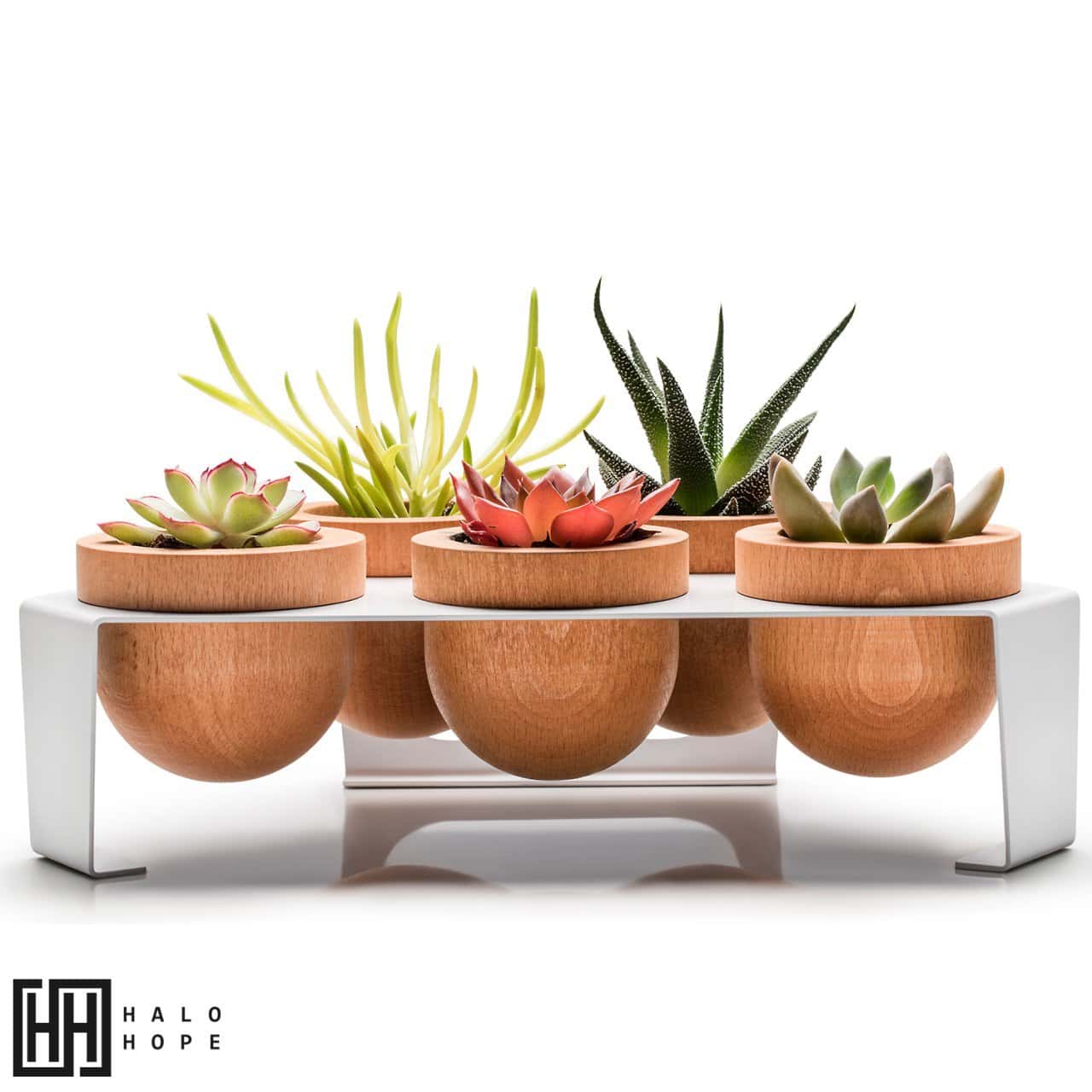Dew 5-Piece Flowerpot, White, Oak