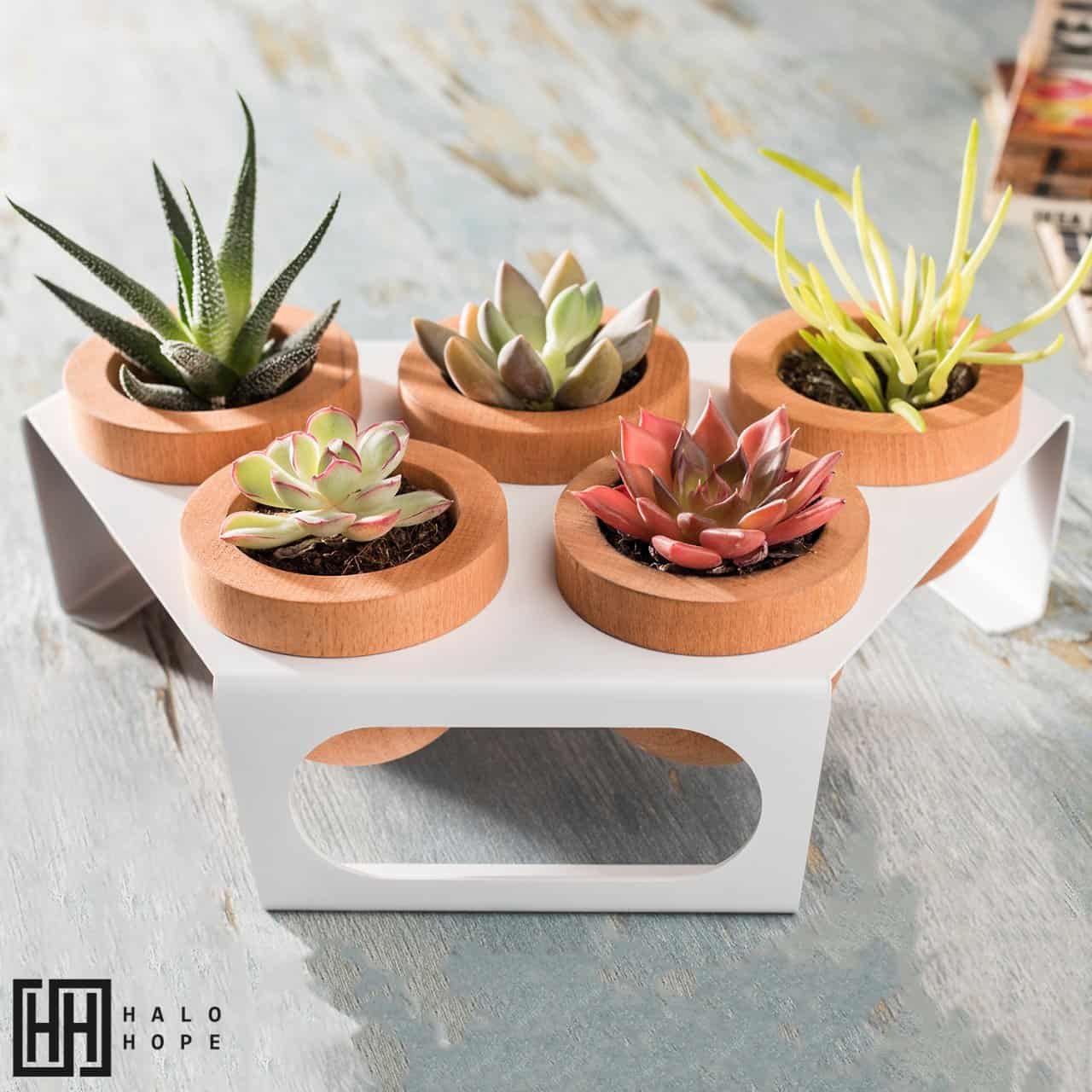 Dew 5-Piece Flowerpot, White, Oak