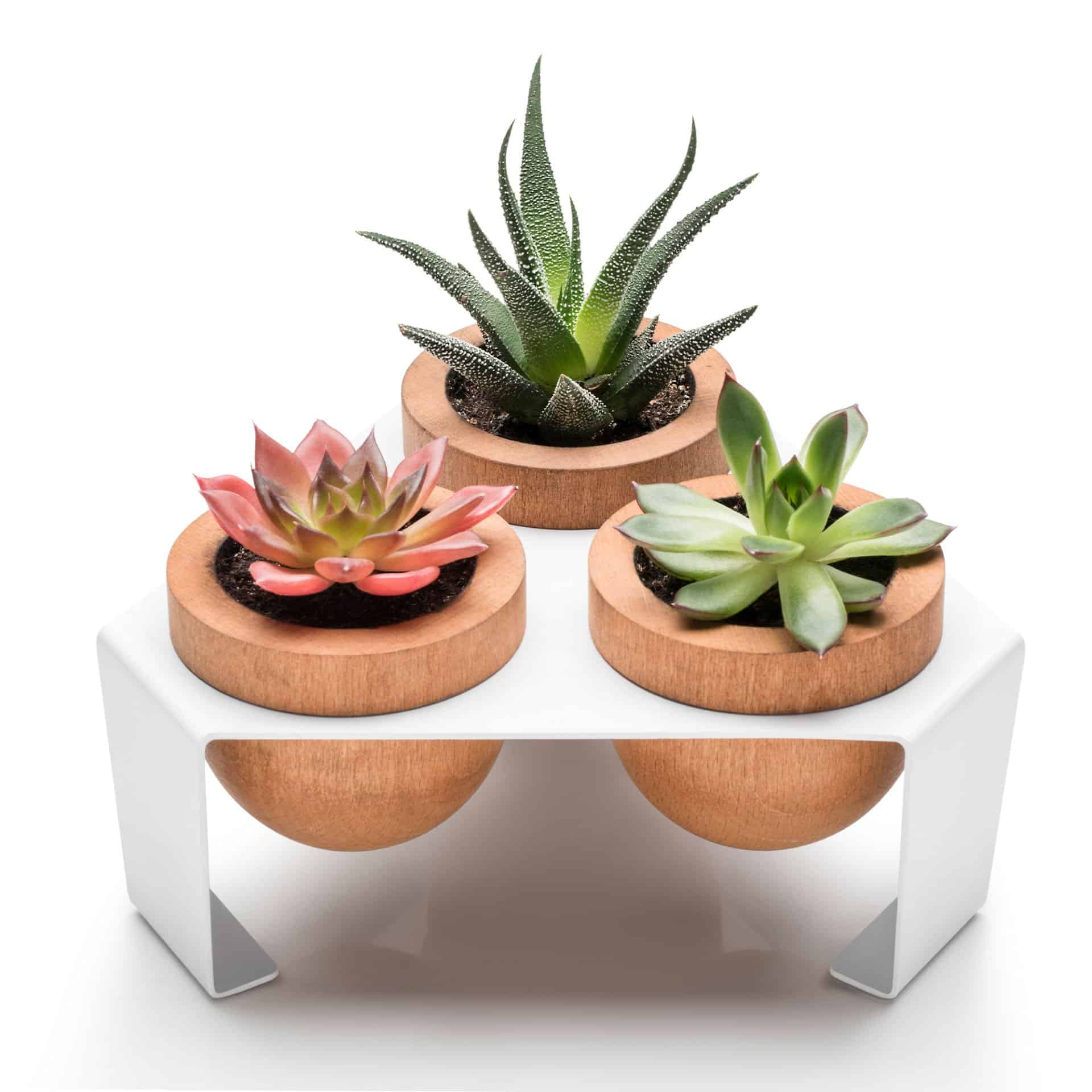 White, Metal Stand Sculent Pot with 3 Oak Leaves