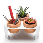 White, Metal Stand Sculent Pot with 3 Oak Leaves
