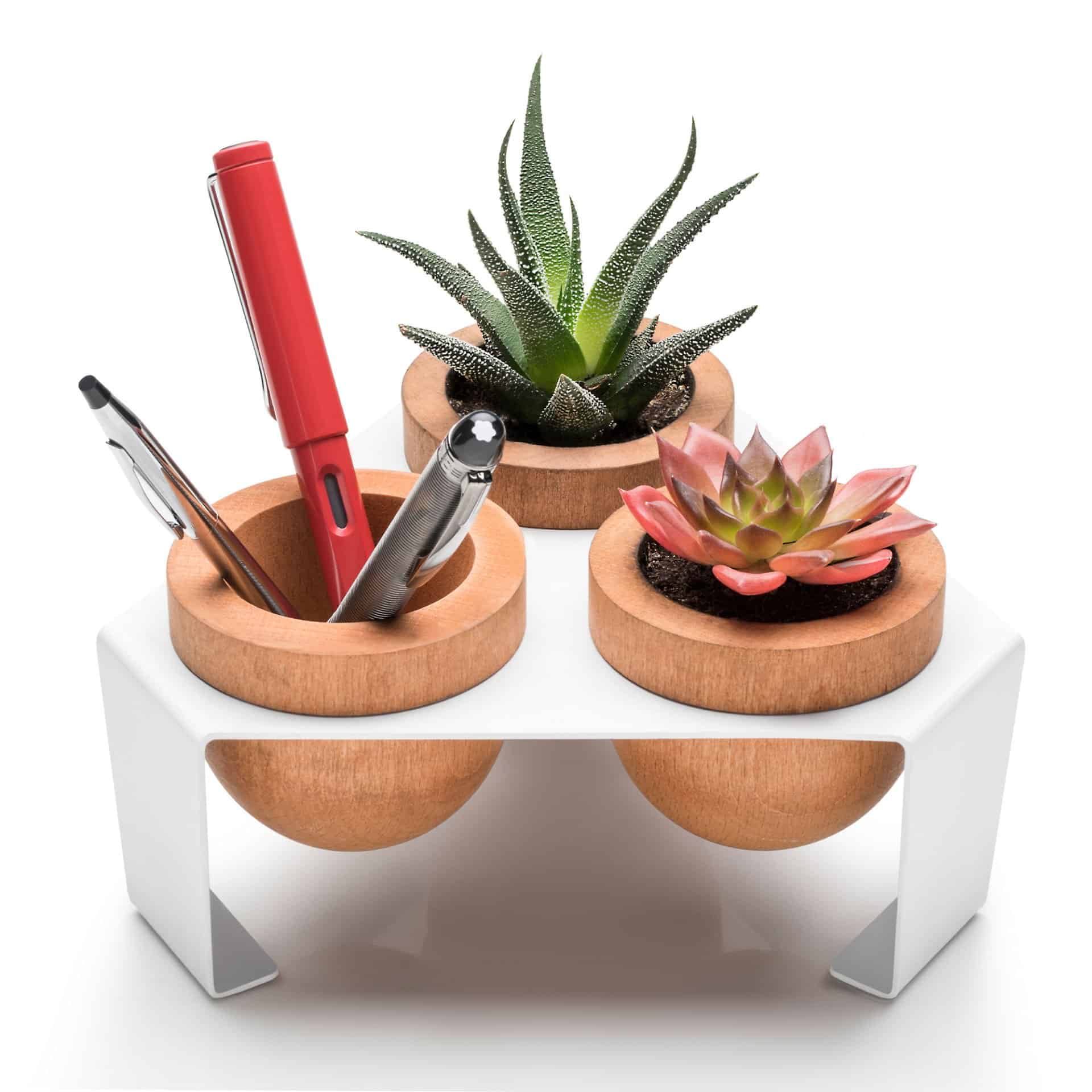 White, Metal Stand Sculent Pot with 3 Oak Leaves