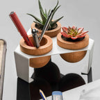 White, Metal Stand Sculent Pot with 3 Oak Leaves