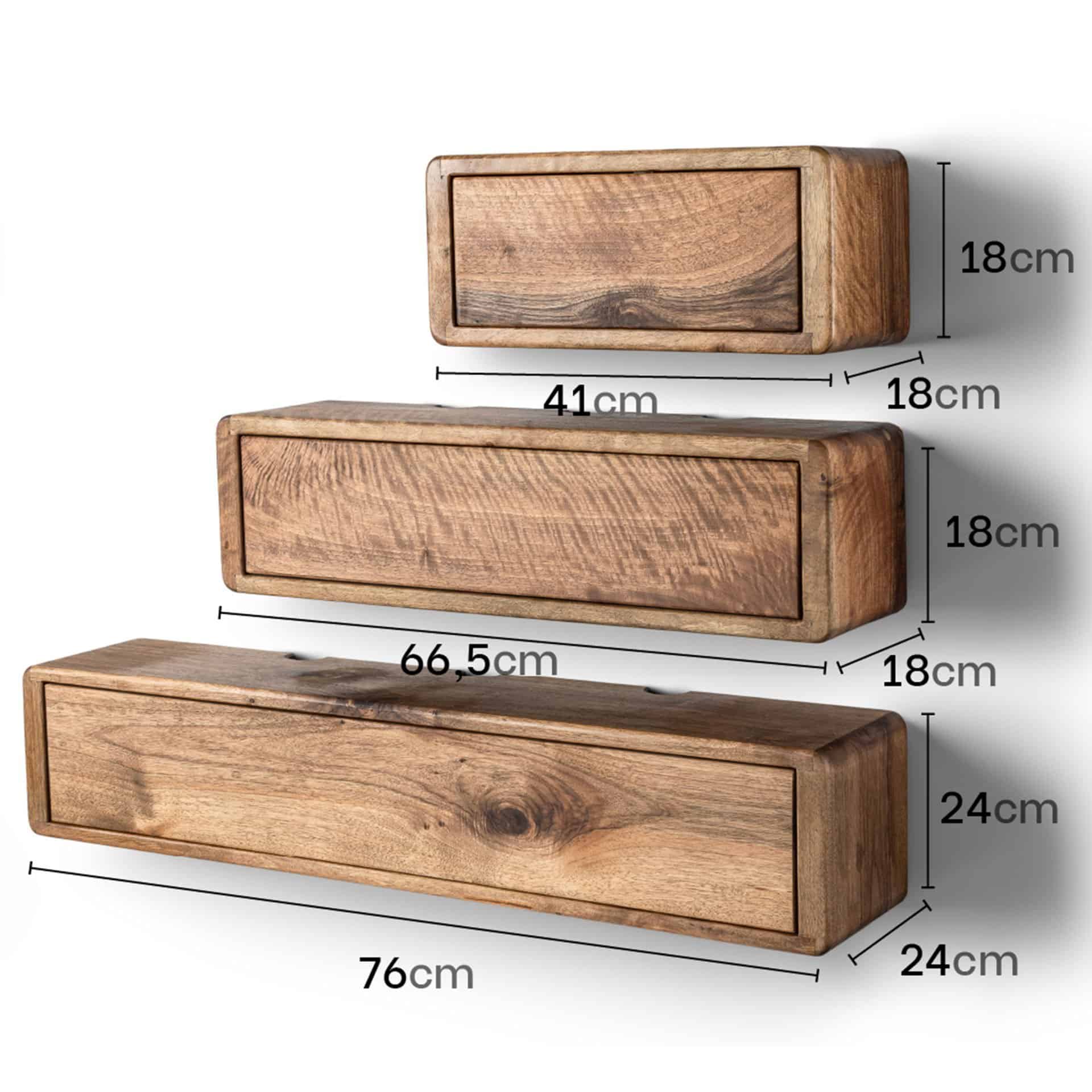 Natural Walnut Wall Shelf Organizer with Cover for Library