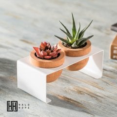 Dew Beyaz, Metal Stantlı Skulent Saksısı